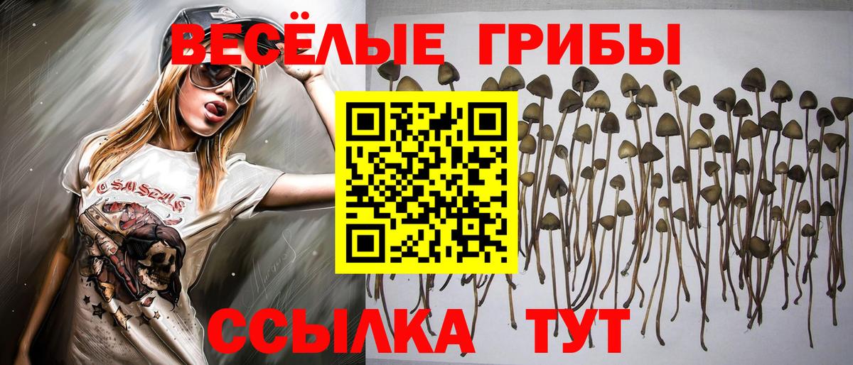 Галлюциногенные грибы MAGIC MUSHROOMS Ростов Великий